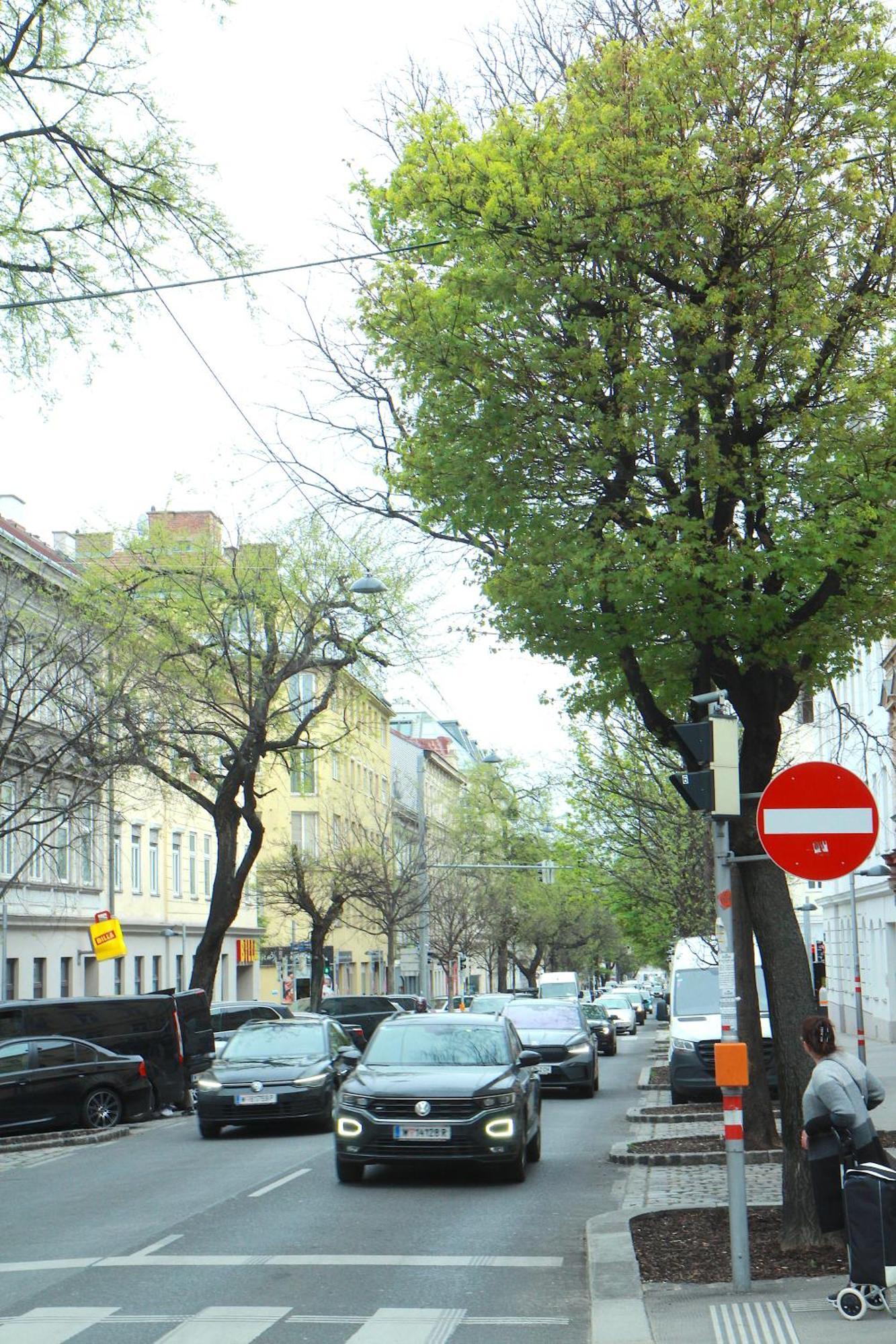 Altbauwohnung Mit Charme - Selbst Check In - Queensize Bett Viena Exterior foto